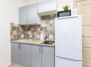 Апартаменты DreamHouse у аэропорта Кольцово