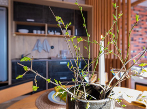 Апартаменты Loft