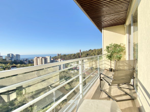 Апартаменты Альфа Метелёва