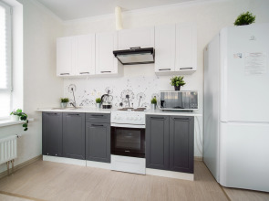 Апартаменты Шикарная квартира возле Парка Галицкого