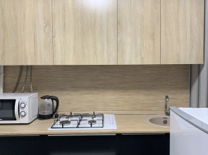 Квартира Двухкомнатная Придорожный 37