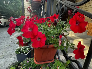 Гостевой дом Лотос