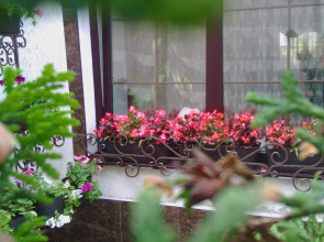 Мини-отель Губерния