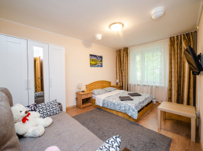 Апартаменты Докучаев переулок 2 (0361)