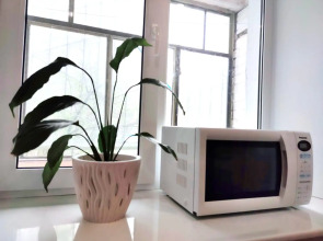 Квартира на улице Пушкина 5/2