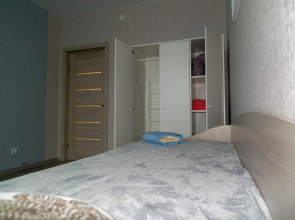 Апартаменты Династия Петра Подзолкова 3И