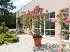 Отель Астра-Центр