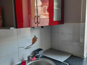 Квартира 2-х комнатная квартира с отдельным входом