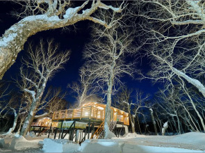 Kamchatka Forest Lodge Park-hotel