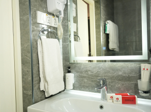 Отель Garnet Mir