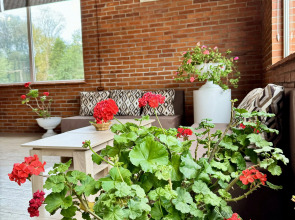 Отель Park Hotel ATLAS