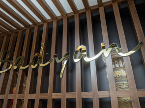 Отель Badyan