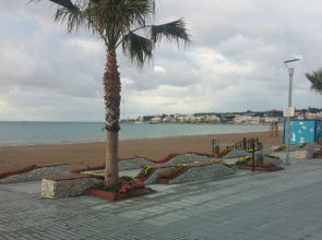 Отель Altinersan Altinkum Didim