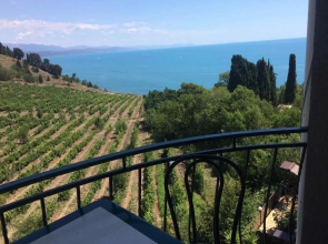 Гостевой дом Селена