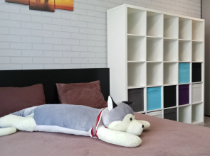 Sibirskiy uyut Apartments