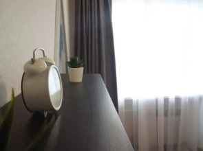 Апартаменты с джакузи на Красноармейском пер. 5