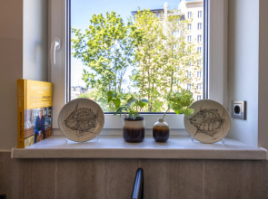 Апартаменты Pion Rooms