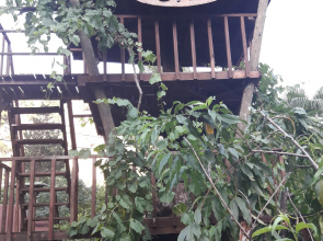 Kibala Hotel 