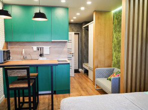 Квартира Эко-студия у реки Волхов