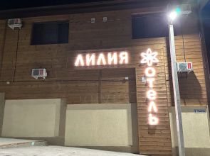 Отель Лилия
