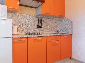 Апартаменты Малая Охта