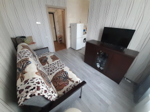 Квартира Золотой жук