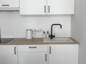 Апартаменты Мини студия с видом на парк