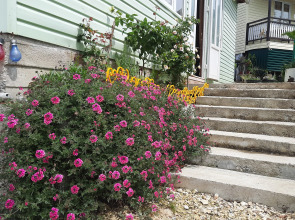 Гостевой дом Мандариновый Рай