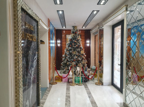 Отель Hotel Afsona