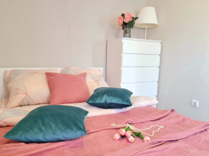 Апартаменты Белые ночи в Центре города