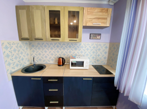 Апартаменты 3х комнатные на Кирова 14/2