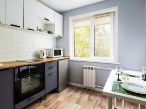 Апартаменты Двухкомнатные Life.Home в Академгородке