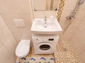 Апартаменты на Алексеевской ЖК Серебряный Фонтан