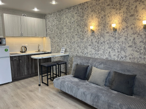 Uyutnaya Studiya Vozle Zhd Vokzala Flat