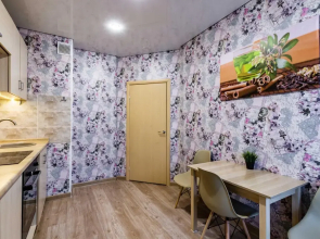 Апартаменты Миасская DreamHouse 1