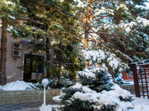 Отель Ваш Симбирск