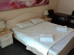 Отель Smart Hotel KDO Кемерово