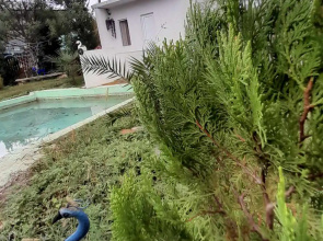 Guest house gogia