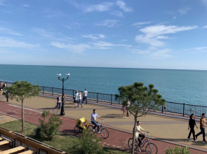 Апартаменты Джунгли у моря