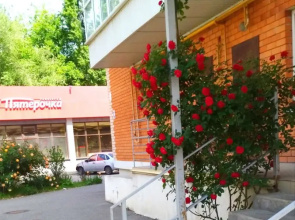 Квартира Однокомнатная Мкр.Курортный