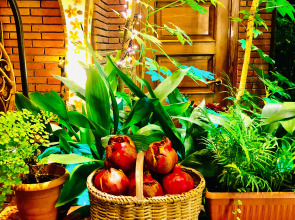 Отель British House