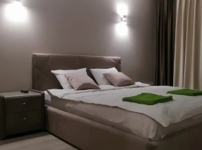 Na Tolstogo 4 Apartments