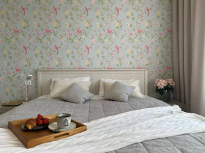 ДзенХоум Энергия 50