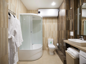 Апартаменты Писателя 2