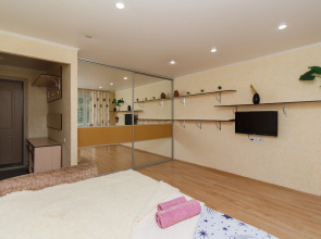 Apartamenty  ideal'noe raspolozenie <<MOIApart- Garmonia>> ne daleko aeroport