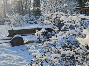 Апартаменты Валдай Пространство мечты 2