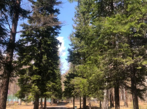 Отель Корона