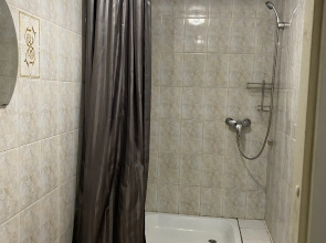 Отель Лососинская