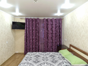 Апартаменты Волкова 65