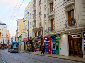 Отель Black Tulip